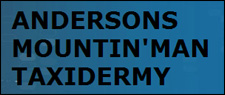 Andersons Mountin'Man Taxidermy